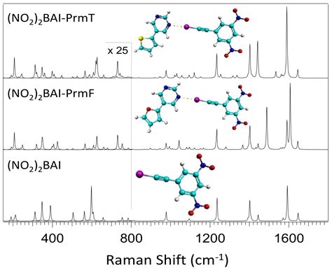 A Raman Spectroscopic and Computational Study of New Aromatic ...