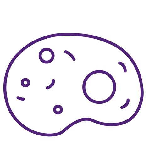 Image result for Mammalian Expression Vector