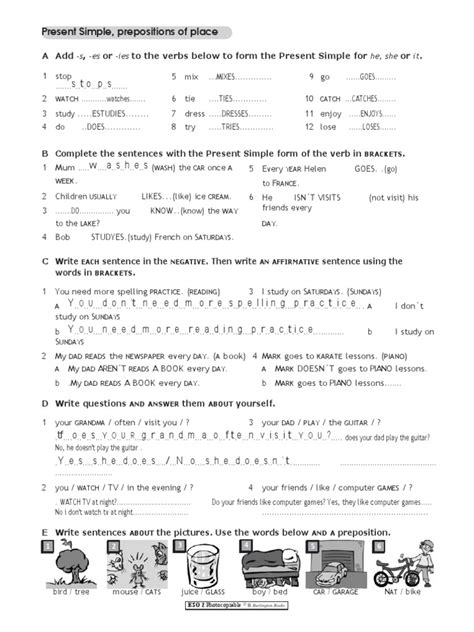 Image result for Present Simple Writing Practice