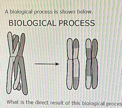 Image result for Example of Biological Process