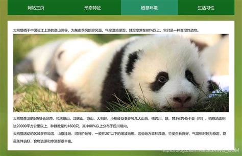 大熊猫学生网页设计模板 静态HTML动物保护学生网页作业成品 DIV CSS大熊猫野生动物主题静态网页_STU学生网页设计作业成品模板-CSDN博客