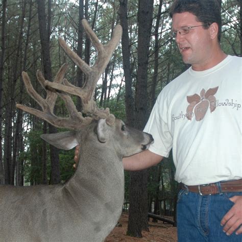 White Tailed Deer Attack