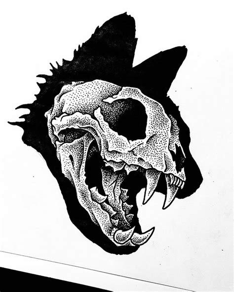 cat Skull Art Drawing - Stefan Urlaub