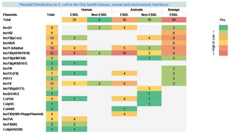 Genomic Ecology of ESBL-Producing Escherichia coli Across Human, Animal ...