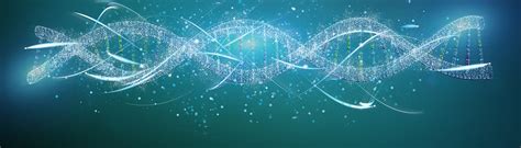 Variants Library NGS 的图像结果