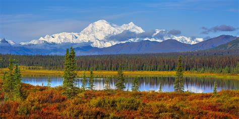 Nature View 的图像结果
