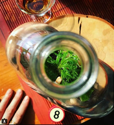 Spirits Bottle Terrarium & Swig (BYOB), The Flatiron Arts Building ...