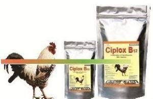 Animal Feed Supplements,Poultry Feed Supplements Suppliers