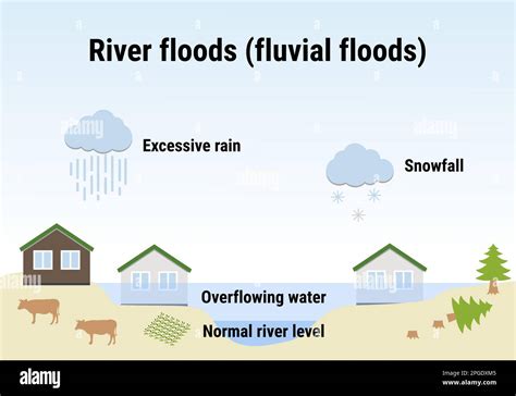 Information About Floods 的图像结果