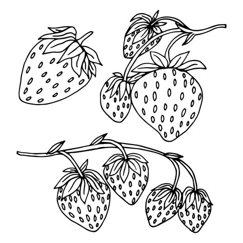 20 Strawberry Coloring Pages - Free PDF Printables For Kids