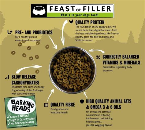 Best Weight Loss Dog Foods (Guide Updated December 2025)