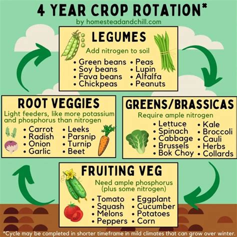 Image result for Crop Rotation