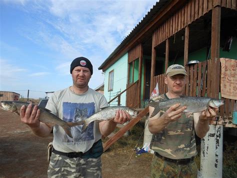 Рыболовная база на Нижней Волге "Белый Берег", Астрахань