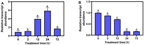 Analysis of MsTERT Gene Expression Profile in Alfalfa (Medicago sativa ...