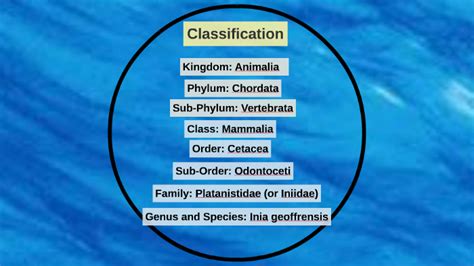 Image result for Murray Classification System