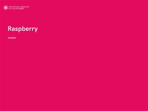 Raspberry Color 的图像结果
