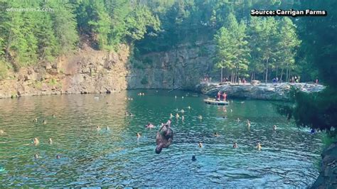 "The Quarry" will have you jumping for joy...literally. | wfmynews2.com