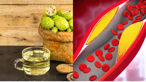 हाई कोलेस्ट्रॉल में नोनी जूस के फायदे | High cholesterol Noni Juice in ...