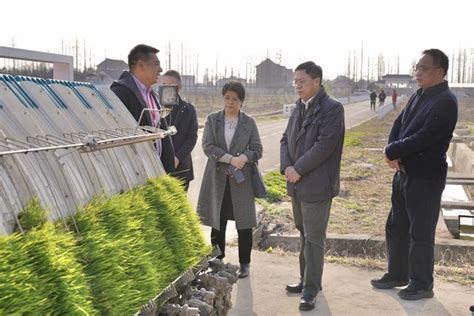 金山区召开2023年农产品绿色高质量发展工作研讨会 - 上海科普网