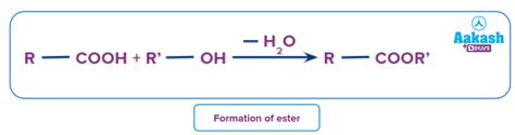 Ester in Chemistry: Definition, Types and Importance | AESL