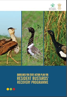 Guidelines for State Action Plan for Resident Bustards' Recovery ...