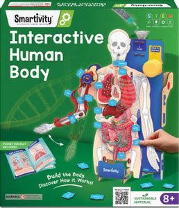 Smartivity Interactive Human Body Model for Kids 8–14 | Dynamic Organs ...