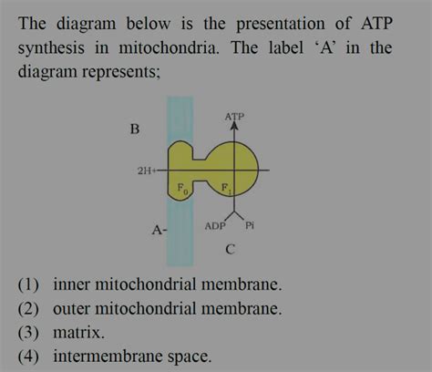 Image result for Define Flowchart and Algorithm