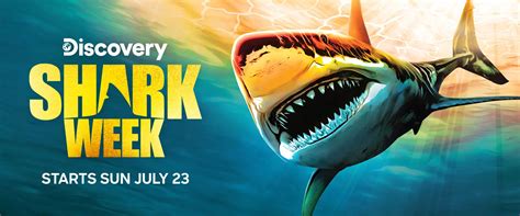 Image result for Shark Week 2016