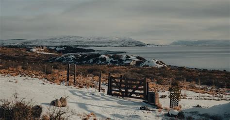 Image result for Programmer Telecommande Nice Portail