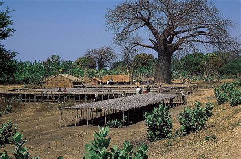 Malawi Religion Malawi Government Information And Services Home