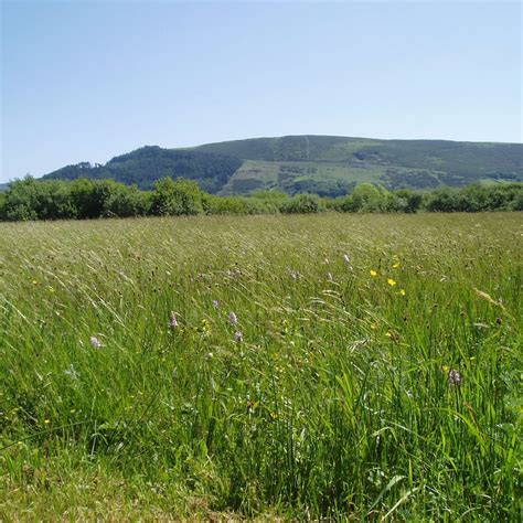 MWT CLOSE SARTFIELD NATURE RESERVE (2026) All You Need to Know BEFORE ...