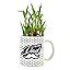 TheYaYaCafe Birthday Gifts Strong Funny Dad Lucky Bamboo Planter with ...
