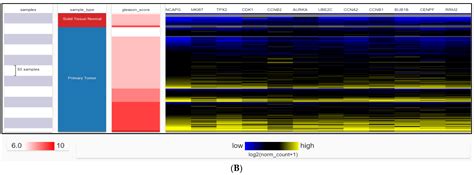 Endocrine Disrupting Chemicals Influence Hub Genes Associated with ...