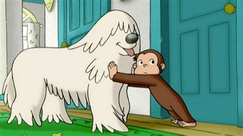 Curious George: Sort It Out! | PBS LearningMedia