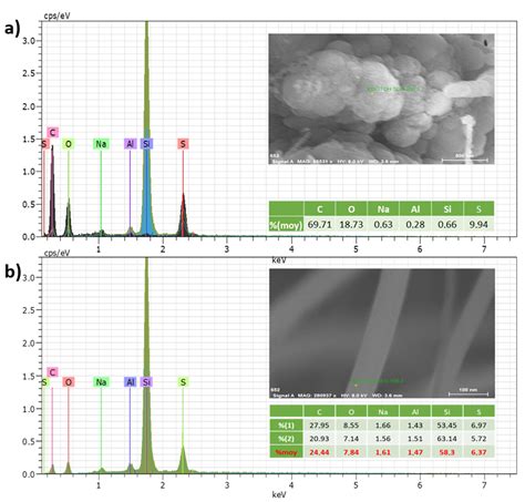 New PEDOT Derivatives Electrocoated on Silicon Nanowires Protected with ...