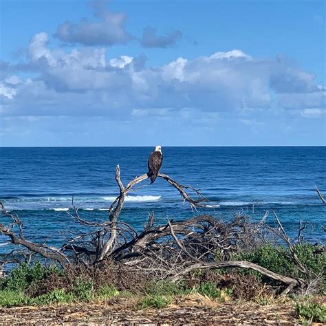 HORROCKS BEACH (2026) All You Need to Know BEFORE You Go (with Photos ...