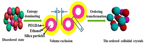 Entropy-Induced Self-Assembly of Colloidal Crystals with High ...