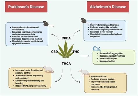 Recent Preclinical Evidence on Phytocannabinoids in Neurodegenerative ...