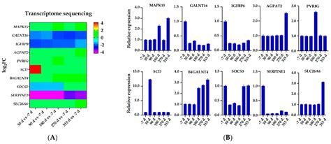 Lactation Associated Genes Revealed in Holstein Dairy Cows by Weighted ...