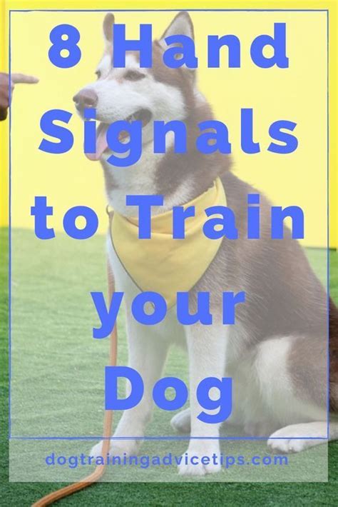 Image result for Hand Signs for Dogs