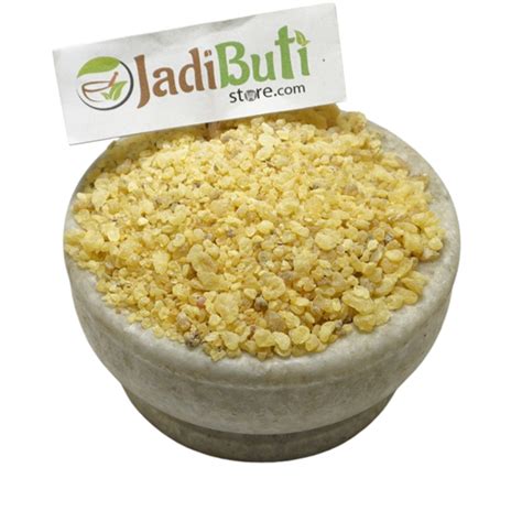 Mastagi Rumi - मस्तगी रूमी - Mastic Gum - Pistacia lentiscus – Jadibuti ...