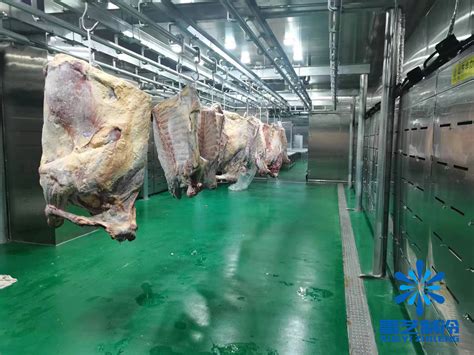 肉类冷库温度设计标准，冻肉冷库建造方案_上海雪艺制冷科技发展有限公司