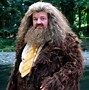 Hagrid 的图像结果