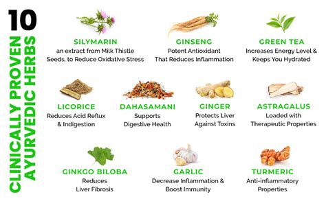 Auric Liver Detox Effervescent | Fizzy Water with 10 Ayurvedic Herbs ...