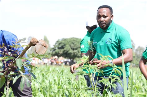 TREPA project to plant over 18,000 ha of native species during 2023-2024 tree planting season ...