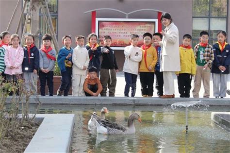 蚌埠第一实验学校城南校区开展为灰雁征名活动_中国网客户端