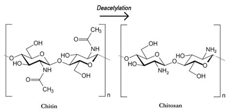 Effect of Crosslinking Type on the Physical-Chemical Properties and ...