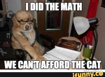 DID THE MATH WE CAN'T AFFORD THE CAT - iFunny