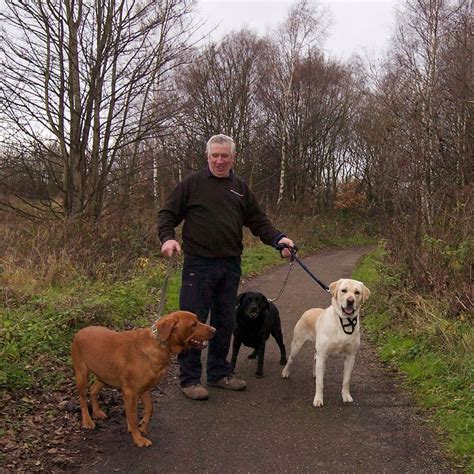 How Many Miles Can A Dog Walk In A Day