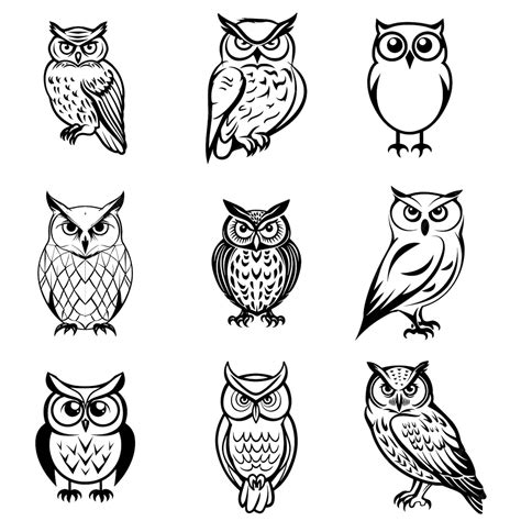 Premium Vector | A collection of owls black and white outlines